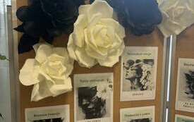 643902392_1468264111537453_4041202965275709919_n